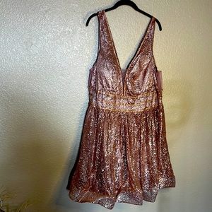 Pink Sparkle and Rhinestone Dress Fashion Nova Curve 3x